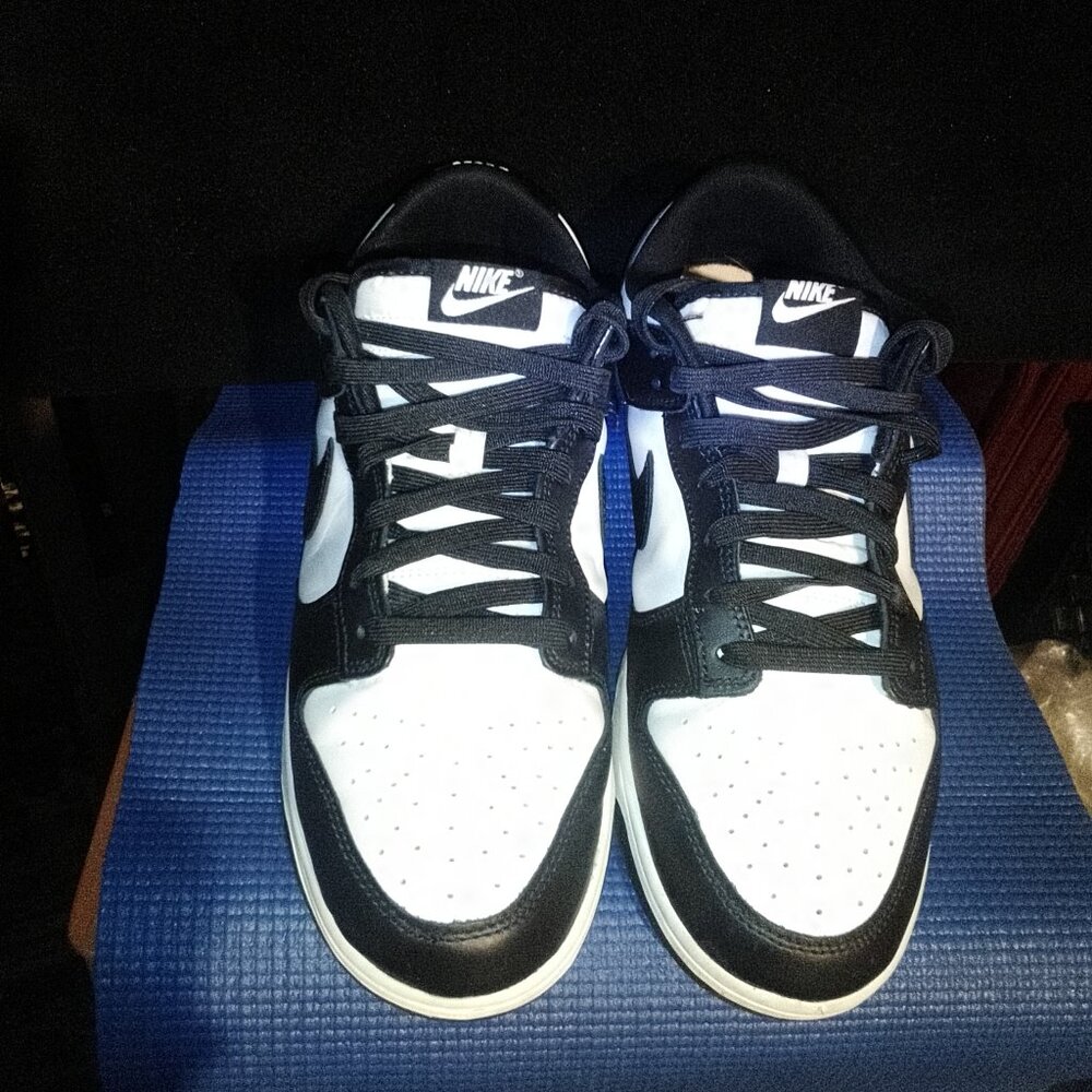 Nike Dunks Mens Shoes